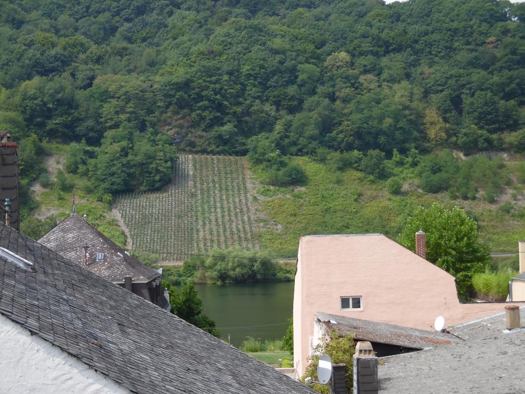 Ferienwohnung In Vino Veritas Neumagen-Dhron Exterior foto